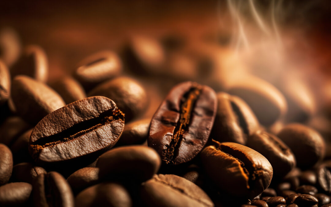 Éthiopie Moka “Harrar” : le café sauvage qui captive les sens